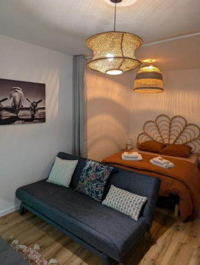 Charmant studio au coeur de la ville